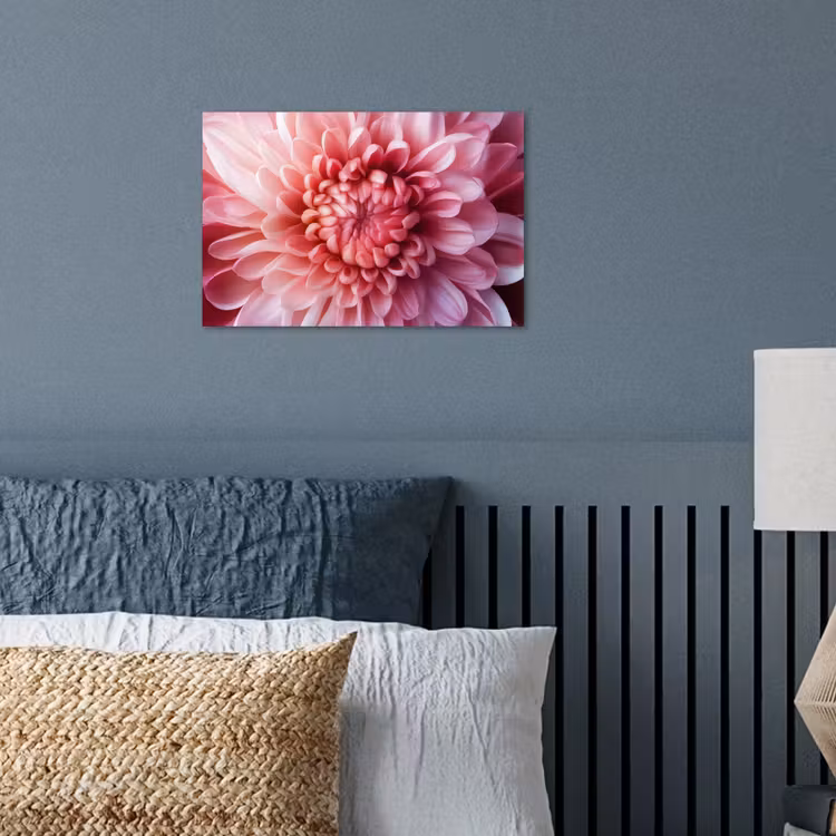 Dahlia - Bloem - Close up - Roze poster papier klein -sfeer2