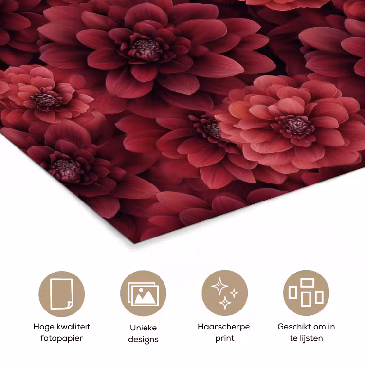 Dahlias - Bloemen - Rood poster papier klein 62 -closeup_NL