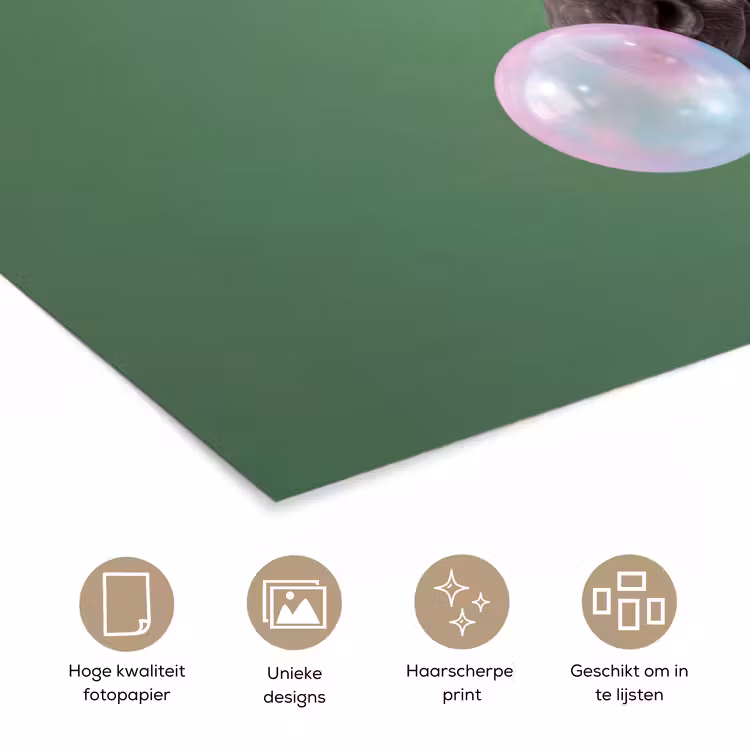 Dier - Bril - Bel - Modern - Groen poster papier klein -closeup_NL