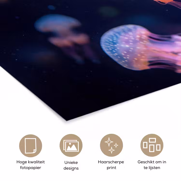 Dier - Onderwater - Natuur - Roze - Mysterieus poster papier klein -closeup_NL
