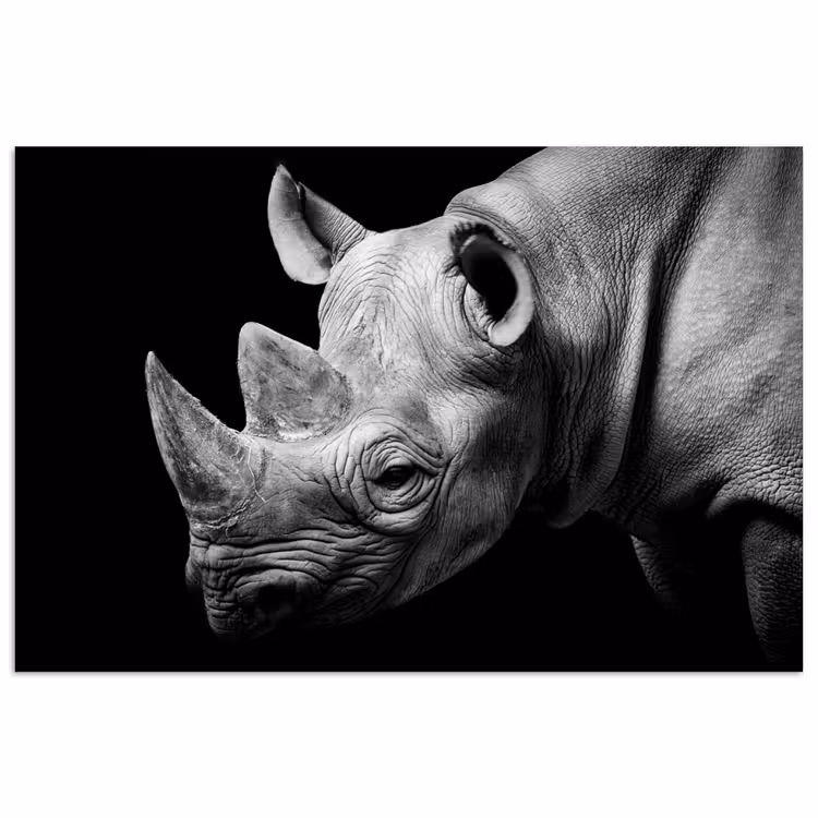 Dieren - Neushoorn - Zwart - Wit - Portret poster papier klein -3d