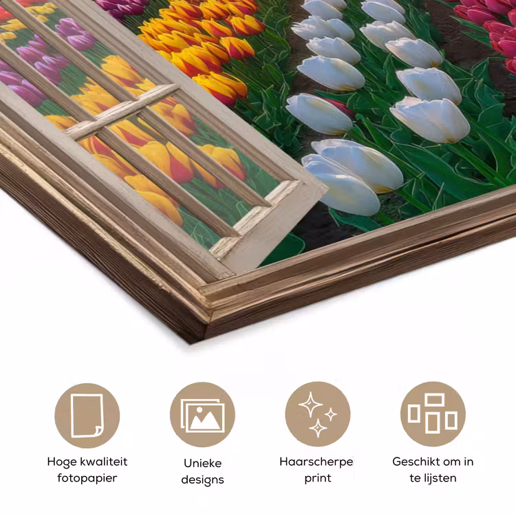 Doorkijk - Bloemen - Tulpen - Kleurrijk - Zonsondergang poster papier klein -closeup_NL