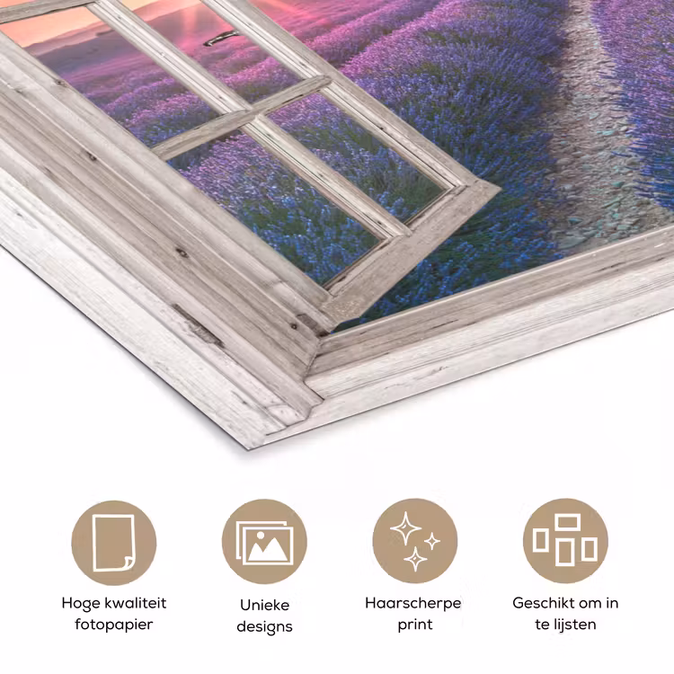 Doorkijk - Lavendel - Bloemen - Hout - Zonsondergang - Paars poster papier klein -closeup_NL
