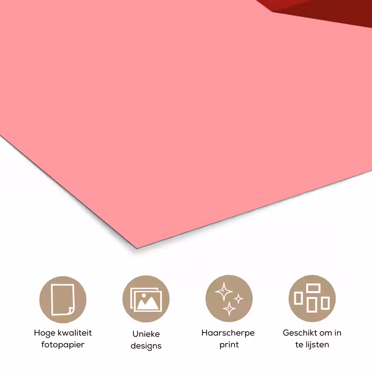 Dream - 3D - Rood - Roze poster papier klein -closeup_NL