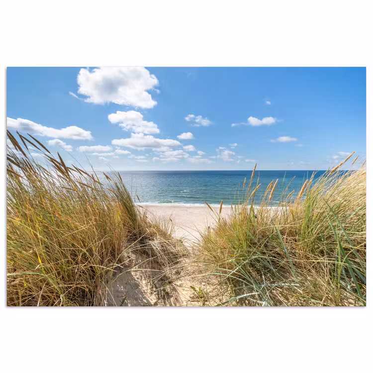 Duin - Gras - Zee - Strand poster papier klein -3d