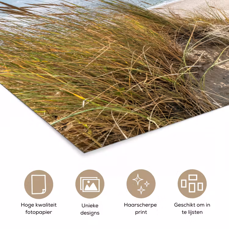 Duin - Gras - Zee - Strand poster papier klein -closeup_NL