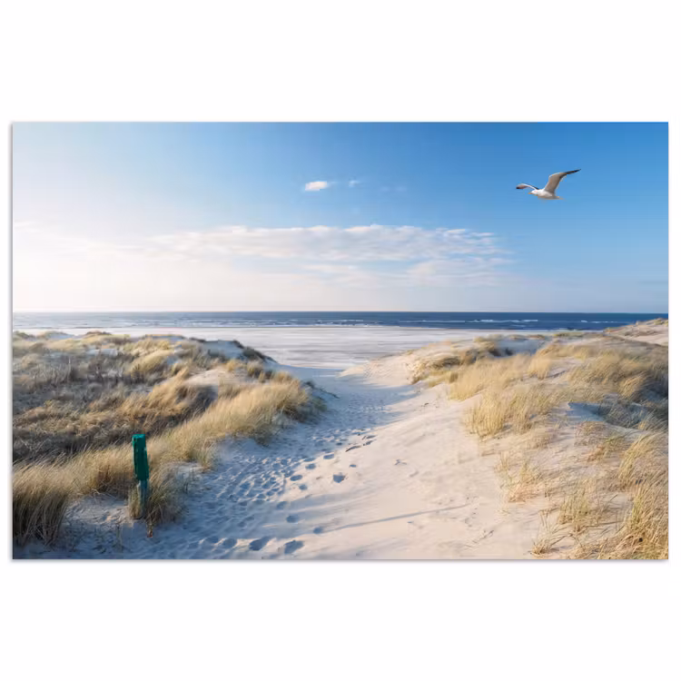 Duin - Meeuw - Strand - Zee - Zon poster papier klein -3d