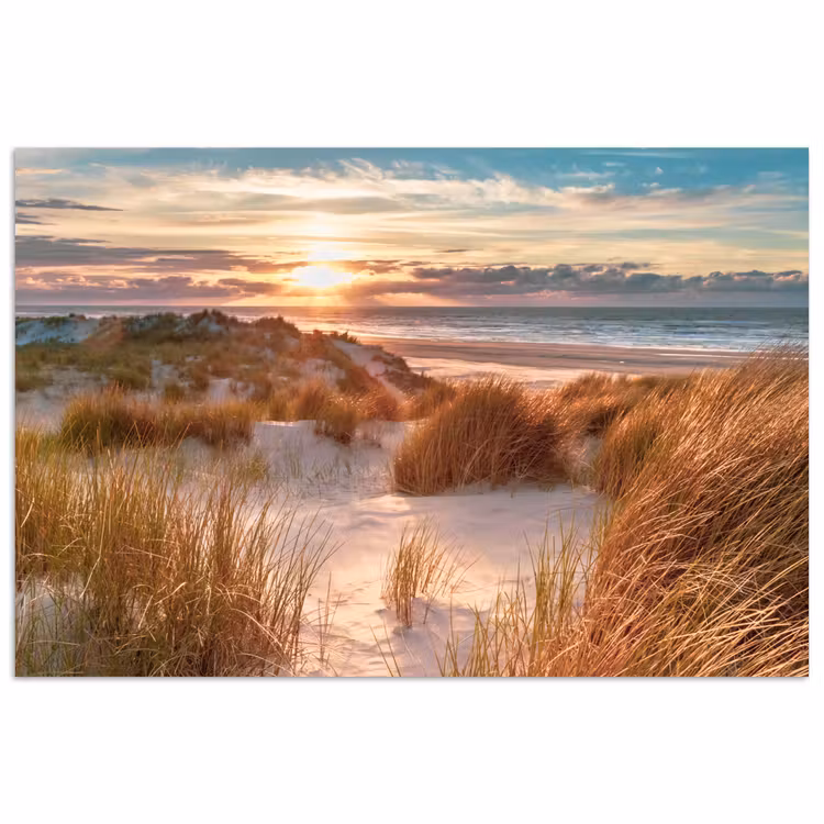 Duin - Planten - Zonsondergang - Strand - Zee poster papier klein -3d