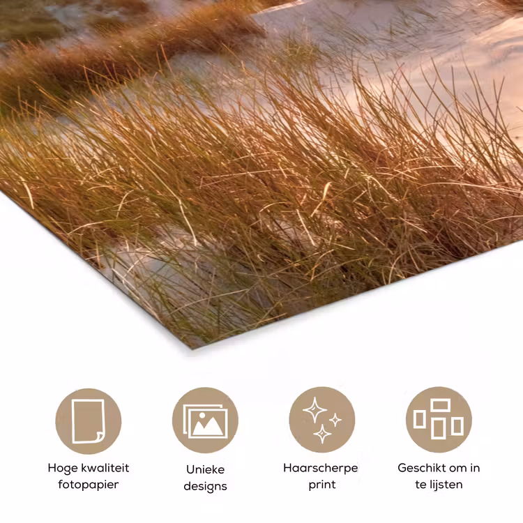 Duin - Planten - Zonsondergang - Strand - Zee poster papier klein -closeup_NL