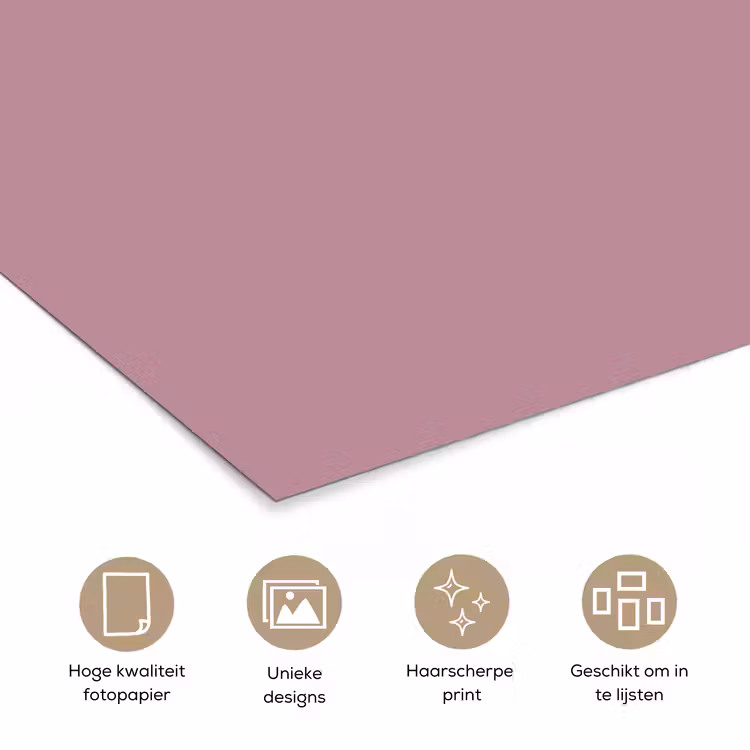 Dusty - Mauve - Paars poster papier klein 62 -closeup_NL