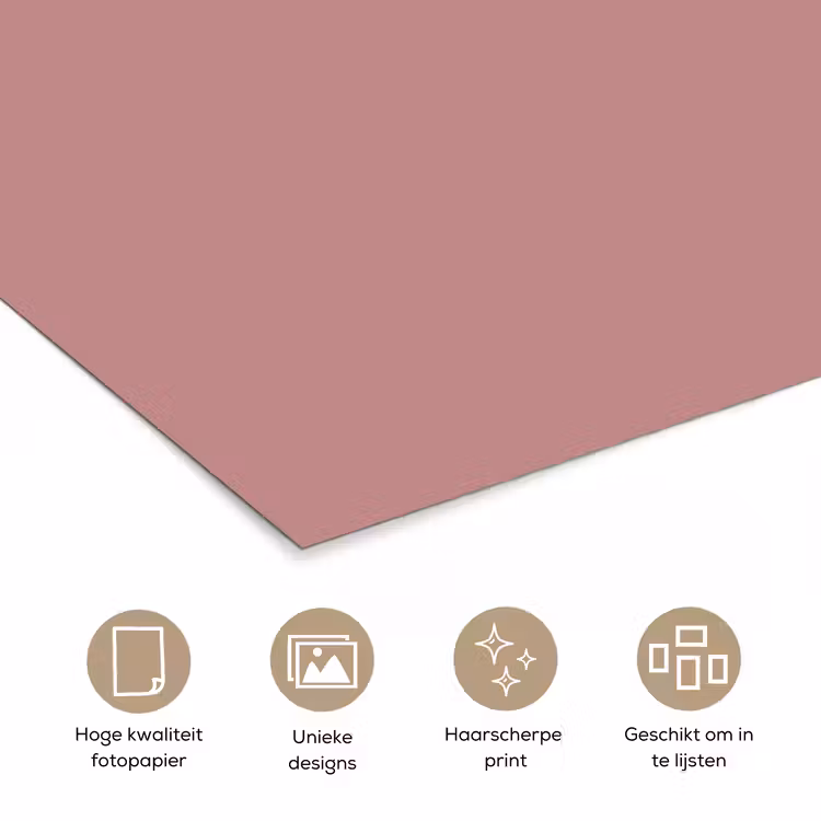 Dusty - Rose - Roze poster papier klein 62 -closeup_NL