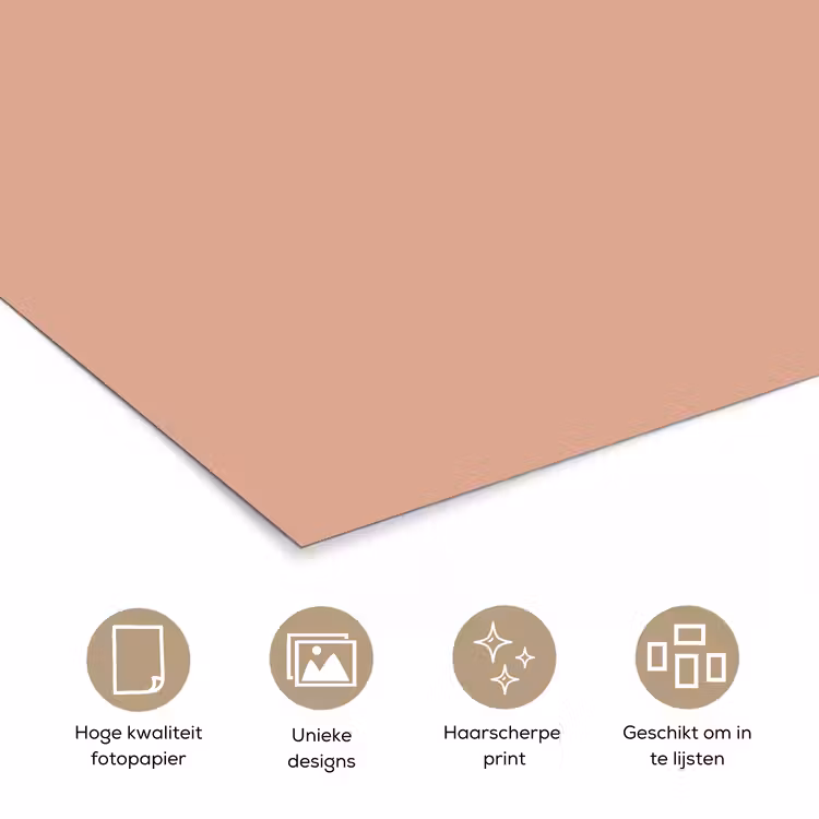 Dusty - Rose - Roze poster papier klein 62 -closeup_NL