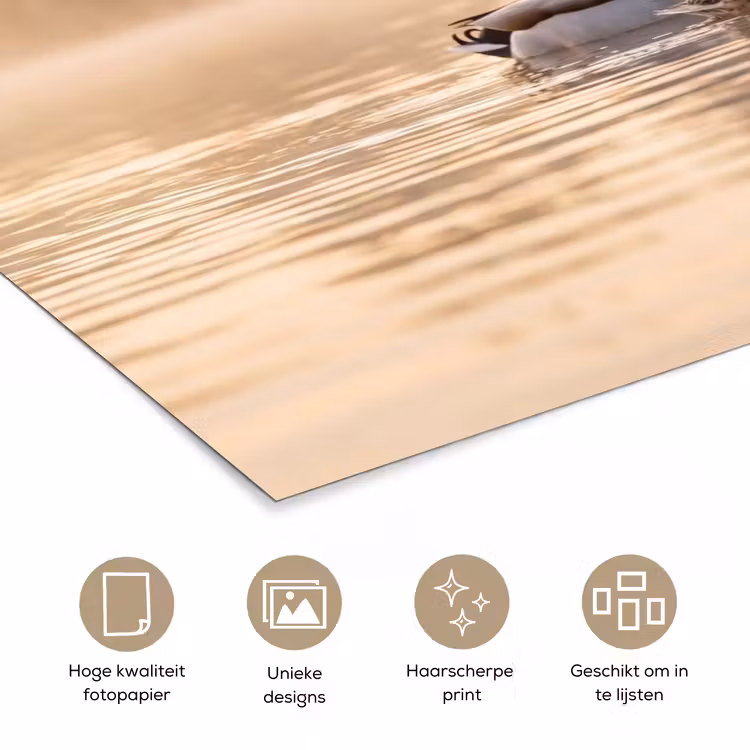 Eenden - Water - Mist - Natuur poster papier klein -closeup_NL
