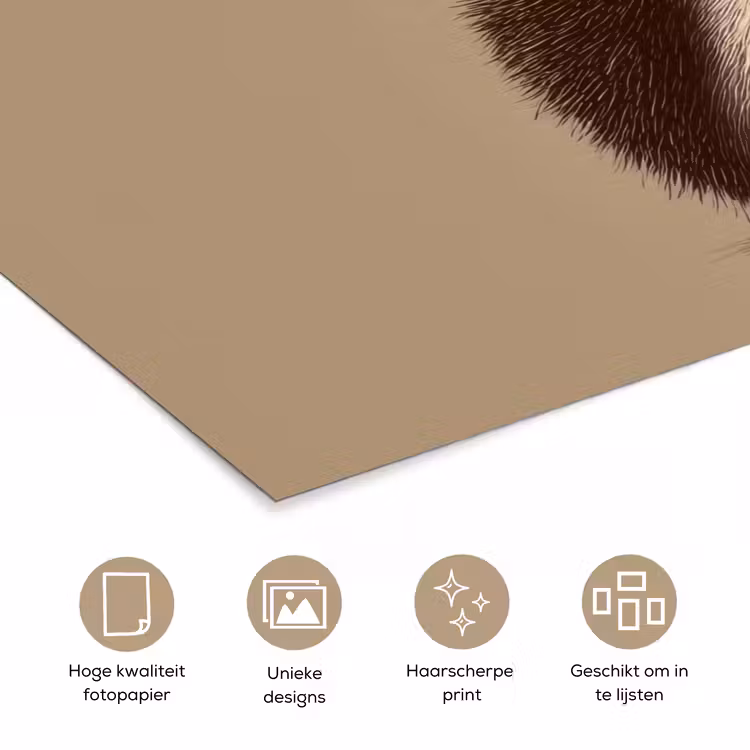 Egel - Snuitje - Bruin - Stekels poster papier klein -closeup_NL