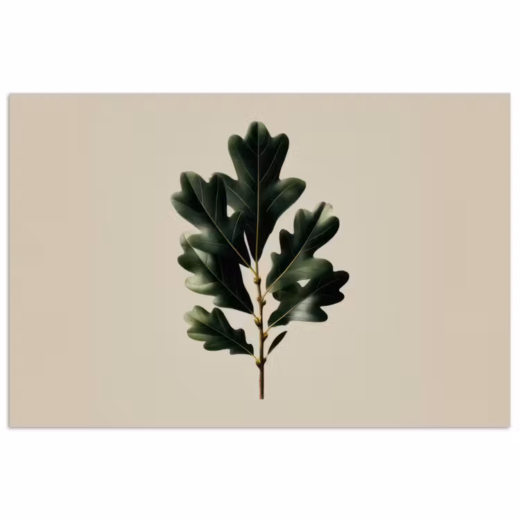 Eikenbladeren - Beige - Groen - Golvende randen poster papier klein -3d