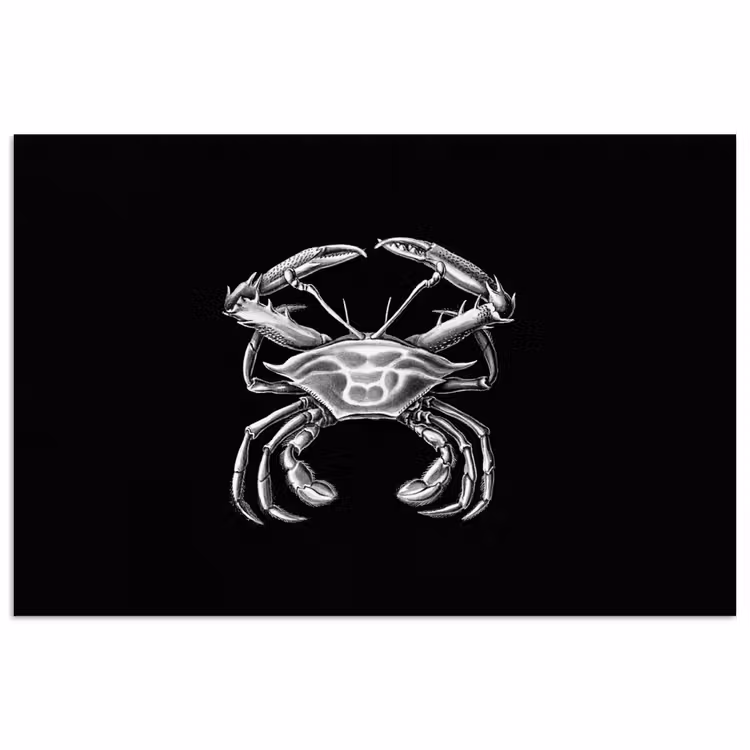 Ernst Haeckel - Krab - Oude meesters - Vintage - Dieren - Kunst poster papier klein -3d