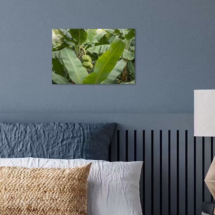 Eten - Bananen - Plantage - Groen poster papier klein -sfeer2