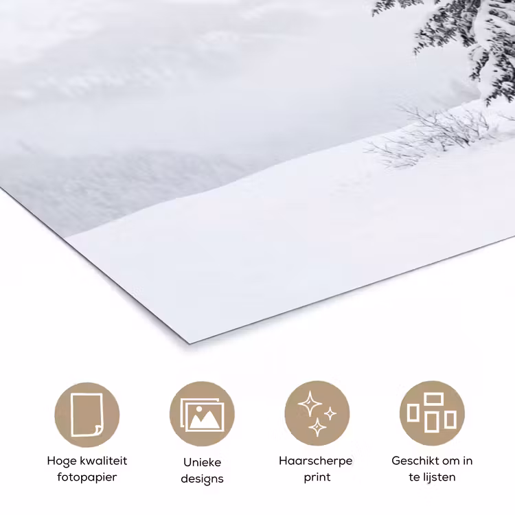 Fijnsparren - Sneeuw - Winter - Landschap - Stilte poster papier klein -closeup_NL