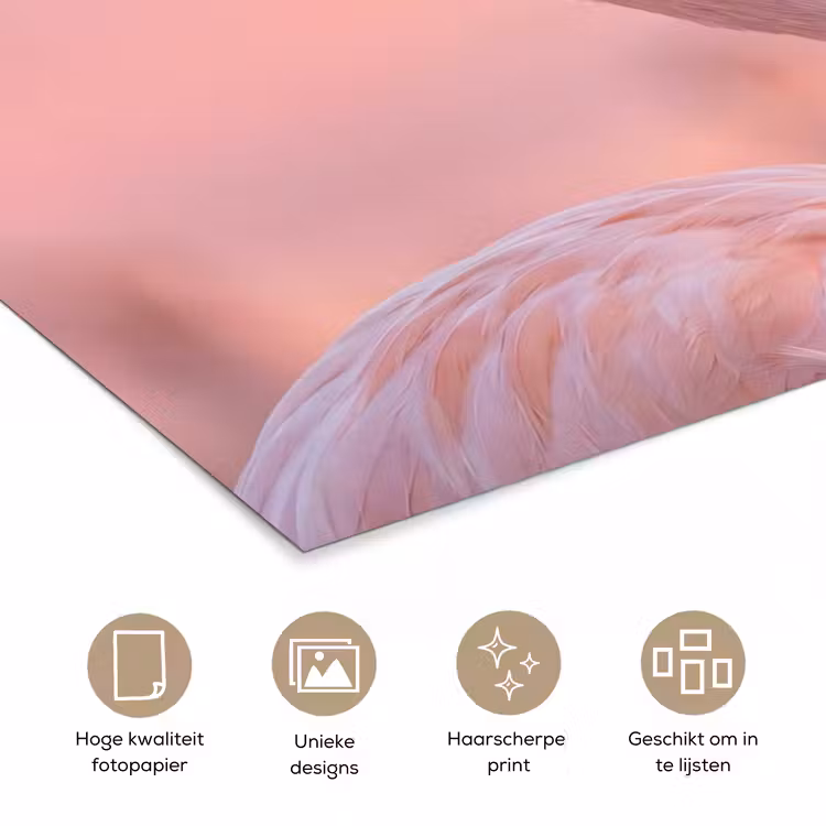 Flamingo - Portret - Roze poster papier klein -closeup_NL