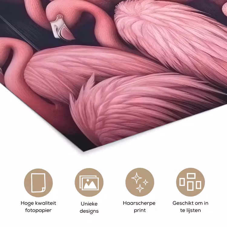 Flamingo - Roze - Dieren poster papier klein -closeup_NL
