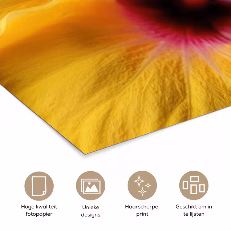 Geel - Hibiscus - Tropisch poster papier klein -closeup_NL