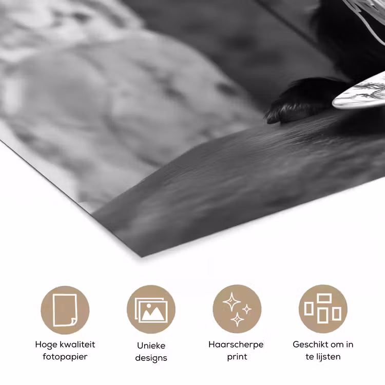 Geit - Bord - Spaghetti - Zwart Wit poster papier klein -closeup_NL