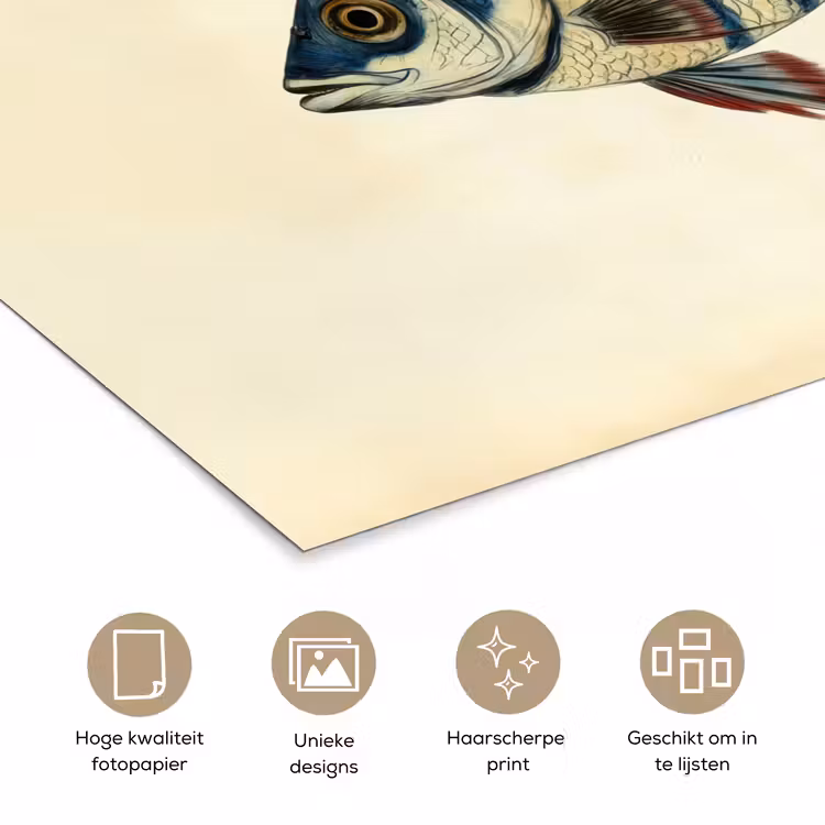 Gestreept - Donkerblauw - Rugvin - Vis poster papier klein -closeup_NL