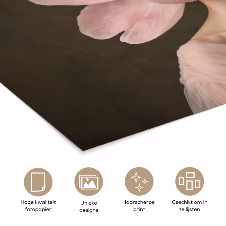 Gezicht - Roos - Roze poster papier klein -closeup_NL