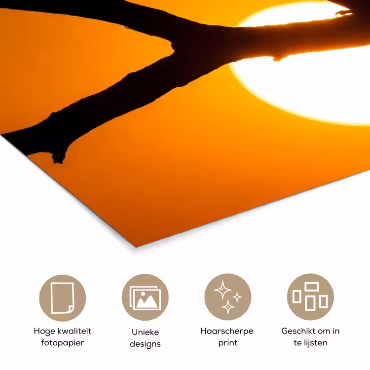 Gier - Tak - Zon - Oranje poster papier klein -closeup_NL