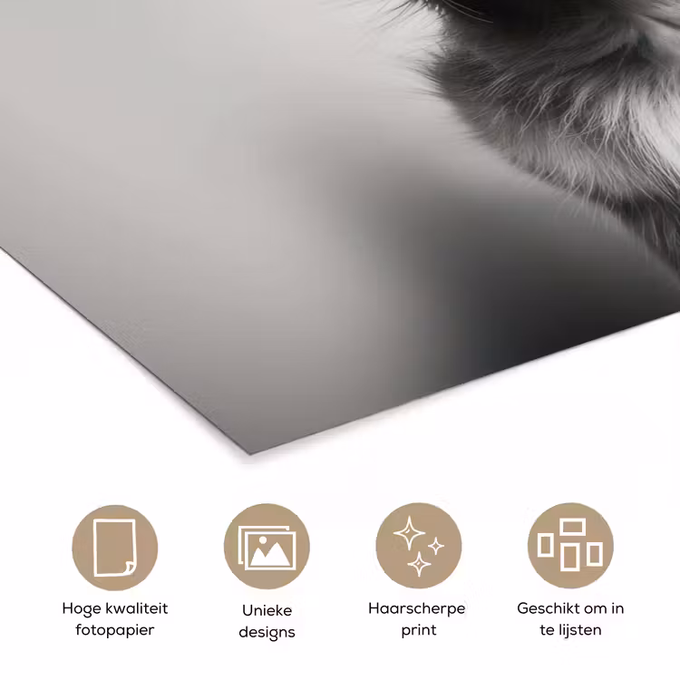 Golden retriever - Hond - Zonnebril - Gkas poster papier klein -closeup_NL