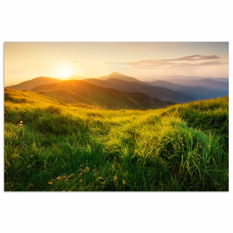 Gras - Heuvels - Zon - Natuur - Landschap poster papier klein -3d