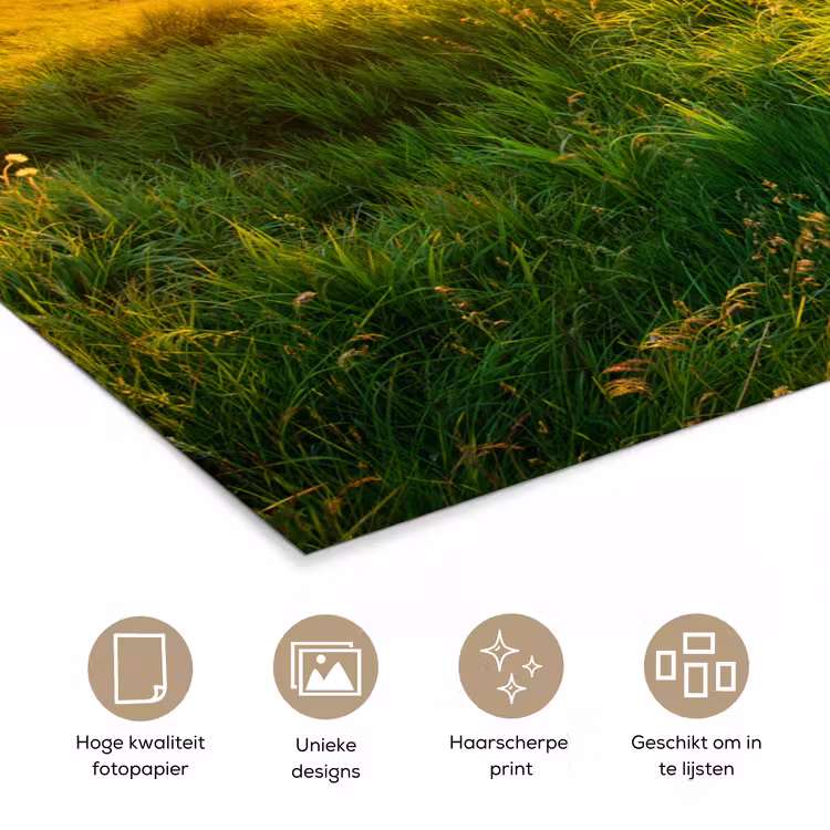 Gras - Heuvels - Zon - Natuur - Landschap poster papier klein -closeup_NL