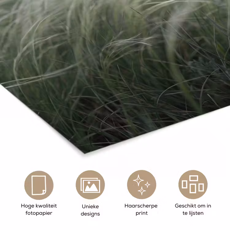 Gras - Wazig - Natuur - Groen - Zacht poster papier klein -closeup_NL