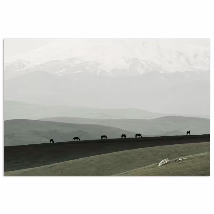 Grijs - Berg - Paarden poster papier klein -3d