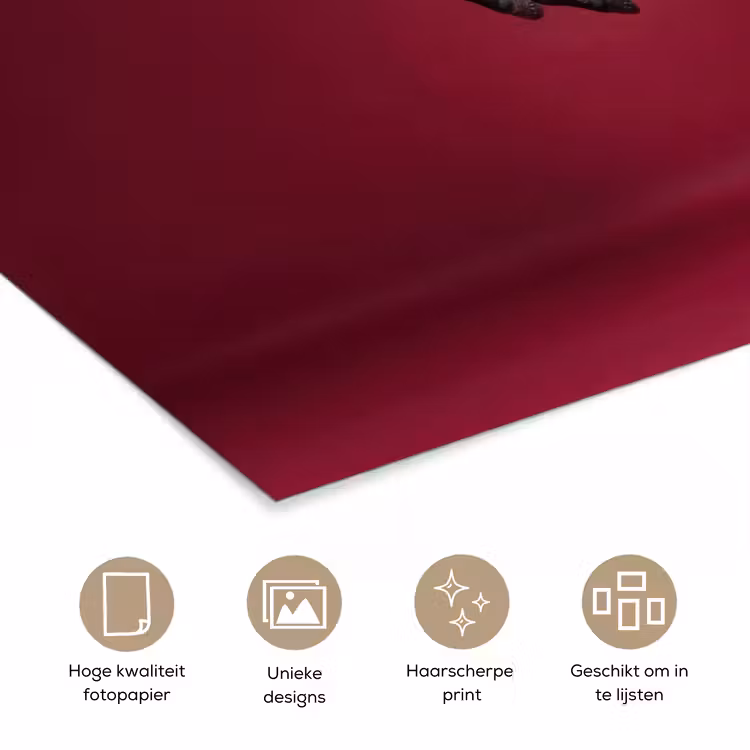 Hengst - Steigert - Rood poster papier klein -closeup_NL