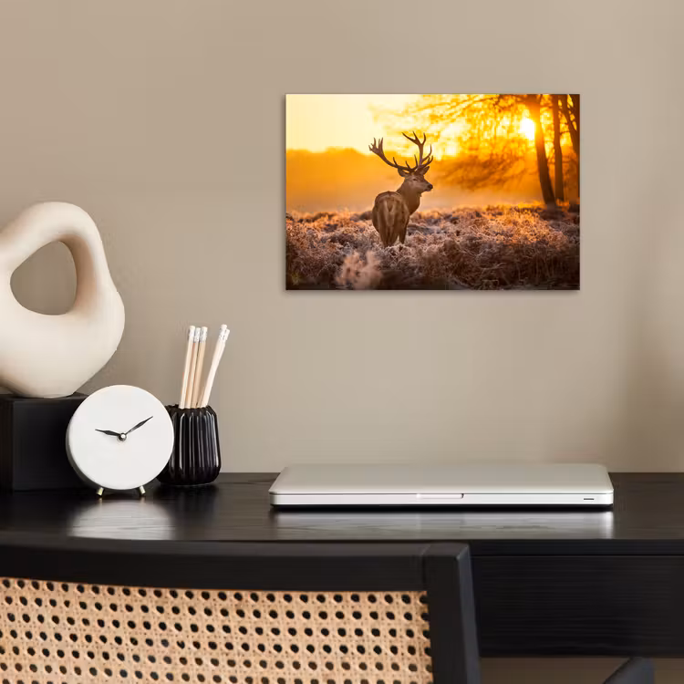 Hert - Dieren - Zonsondergang - Winter - Heide - Natuur poster papier klein -sfeer1