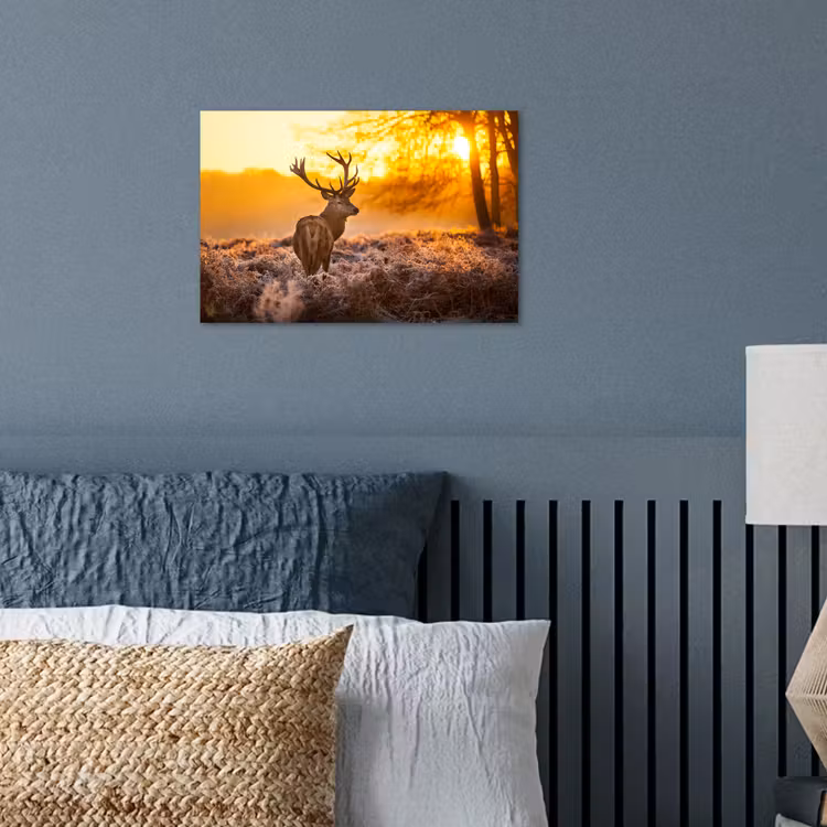 Hert - Dieren - Zonsondergang - Winter - Heide - Natuur poster papier klein -sfeer2