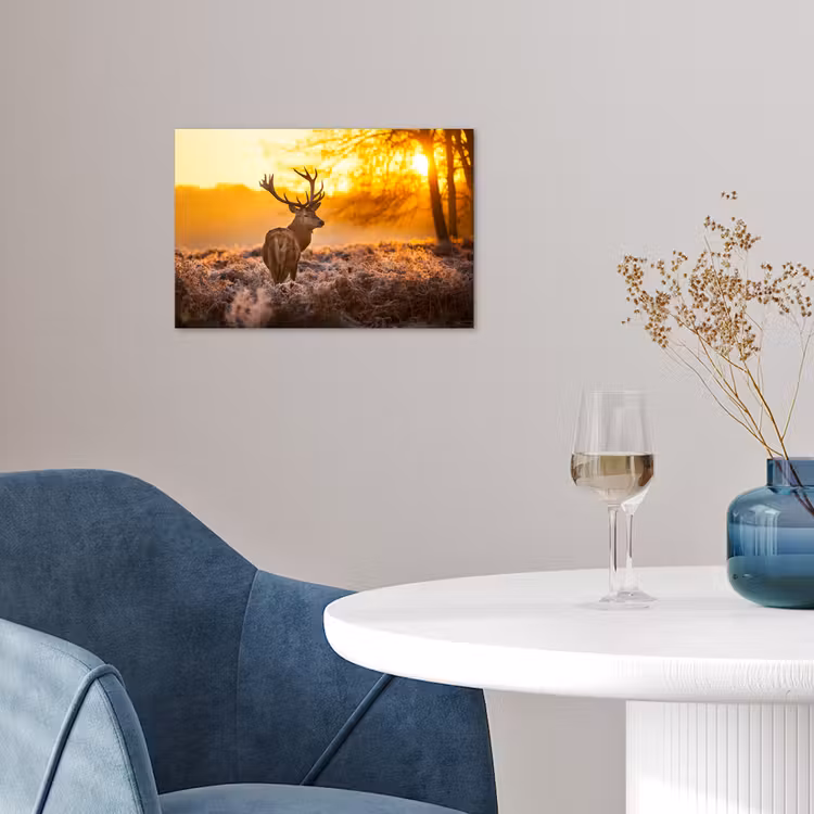 Hert - Dieren - Zonsondergang - Winter - Heide - Natuur poster papier klein -sfeer3