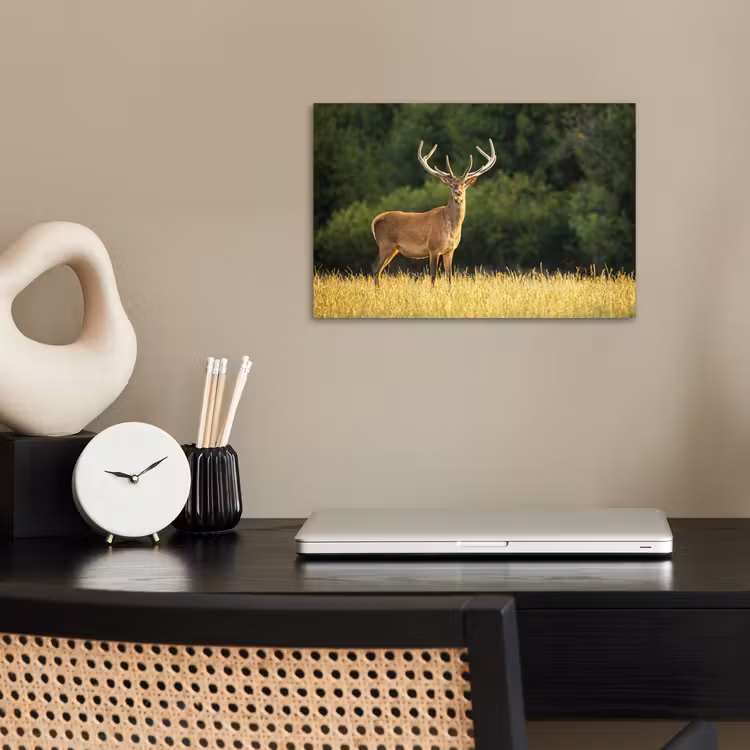 Hert - Gewei - Gras - Natuur - Dieren - Groen poster papier klein -sfeer1