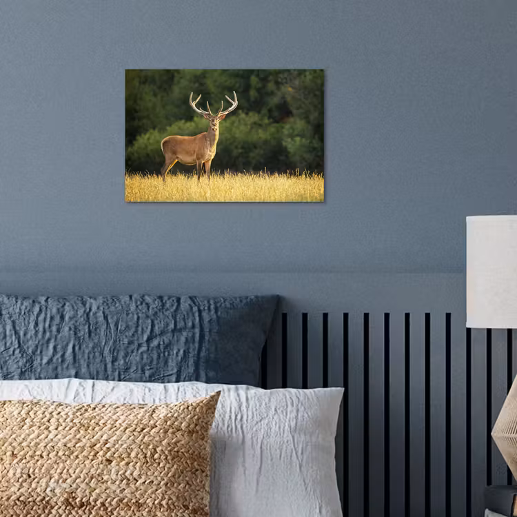 Hert - Gewei - Gras - Natuur - Dieren - Groen poster papier klein -sfeer2