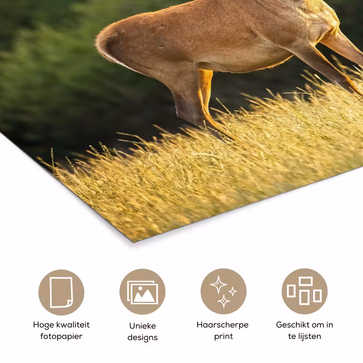 Hert - Gewei - Gras - Natuur - Dieren - Groen poster papier klein -closeup_NL