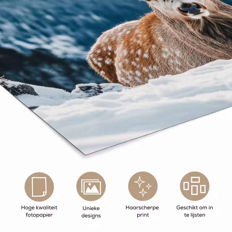 Hert - Landschap - Winter - Natuur - Dieren - Bergen poster papier klein -closeup_NL