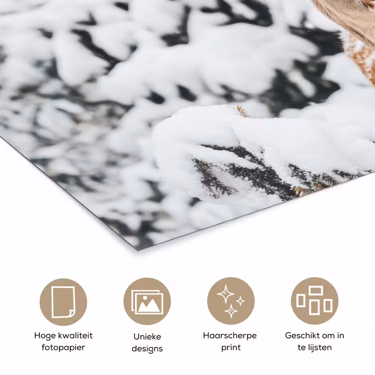 Hert - Sneeuw - Winter - Bos - Dieren poster papier klein -closeup_NL