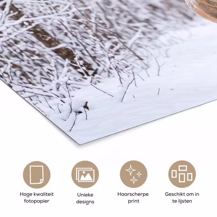 Hert - Winter - Bos - Natuur - Wit poster papier klein -closeup_NL
