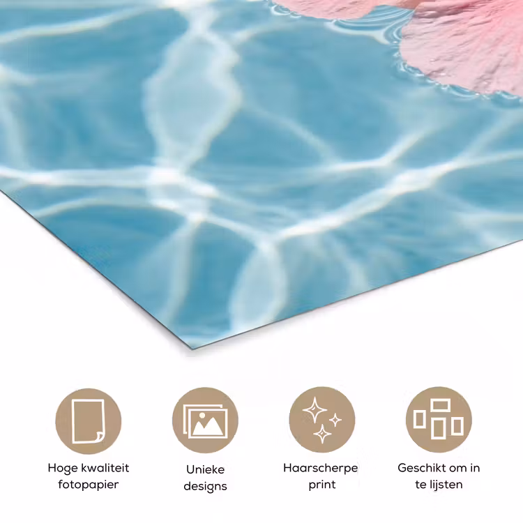 Hibiscus - Water - Roze poster papier klein -closeup_NL