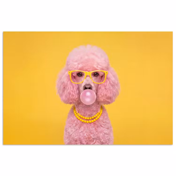 Hond - Kauwgum - Dieren - Modern - Roze poster papier klein -3d