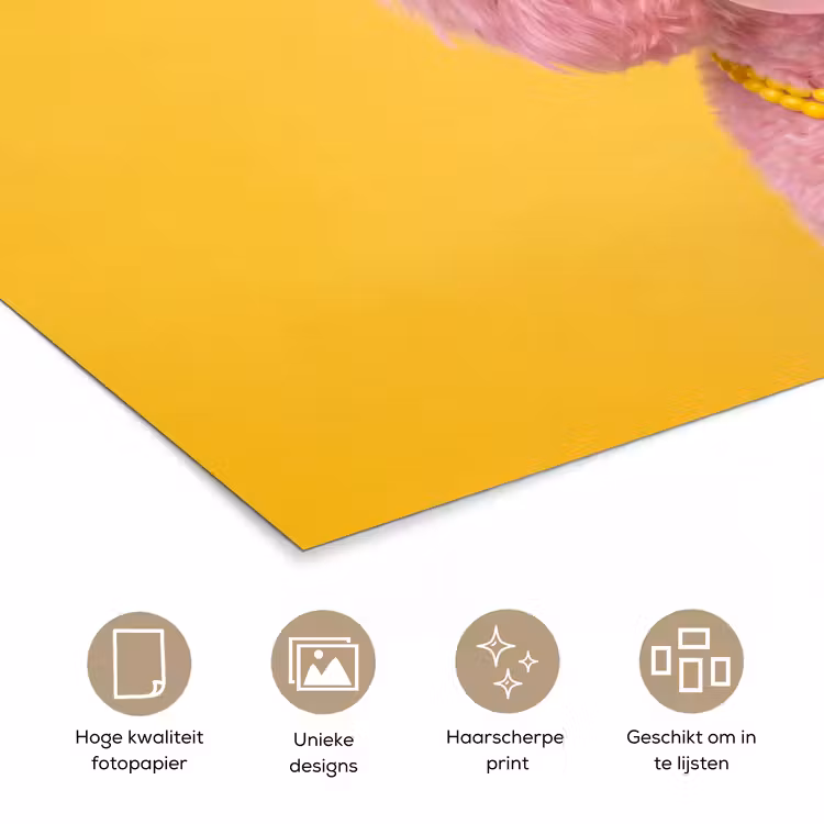 Hond - Kauwgum - Dieren - Modern - Roze poster papier klein -closeup_NL