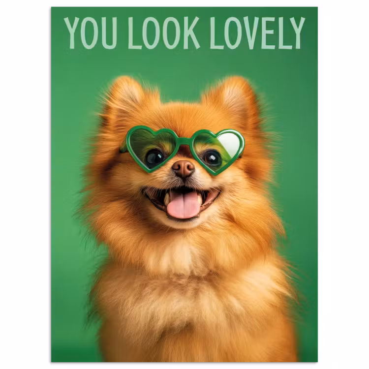 Hond - Zonnebril - Valentijn - Love poster papier klein -3d