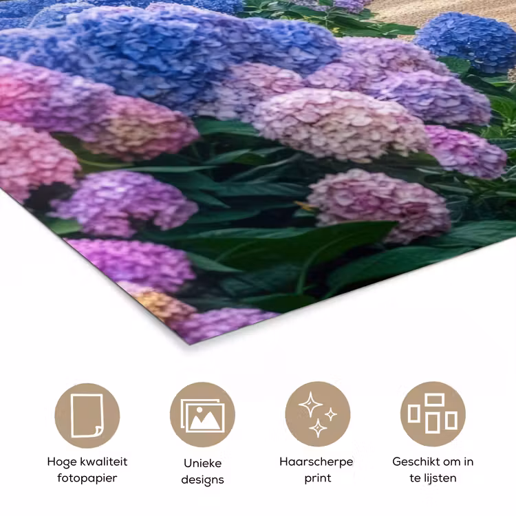 Hortensia- Park - Pad poster papier klein -closeup_NL