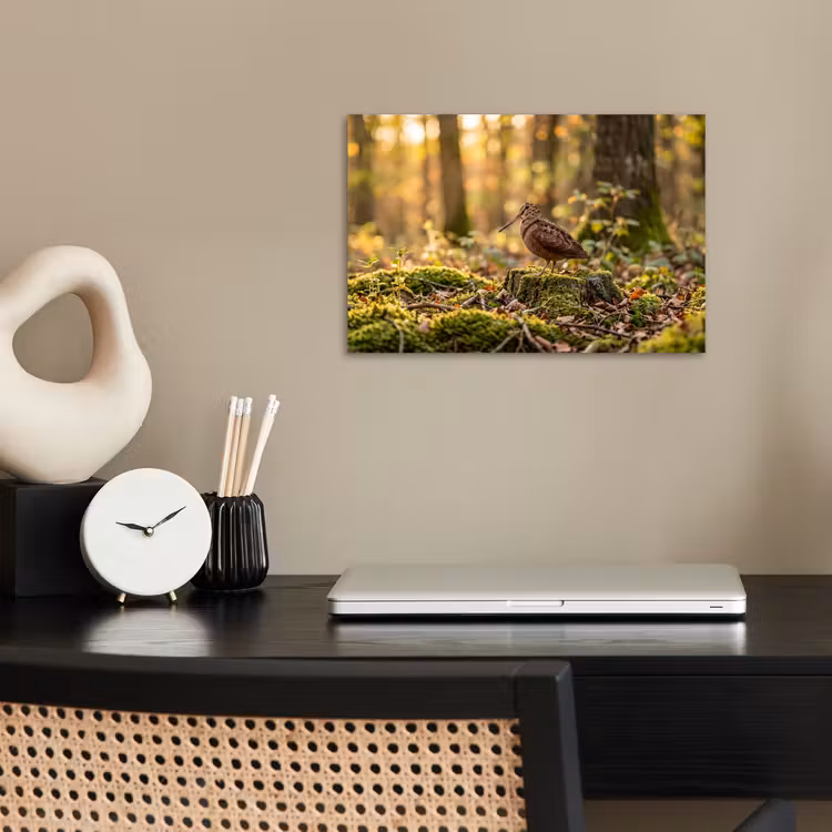 Houtsnip - Bos - Bladeren - Herfst - Gecamoufleerd poster papier klein -sfeer1
